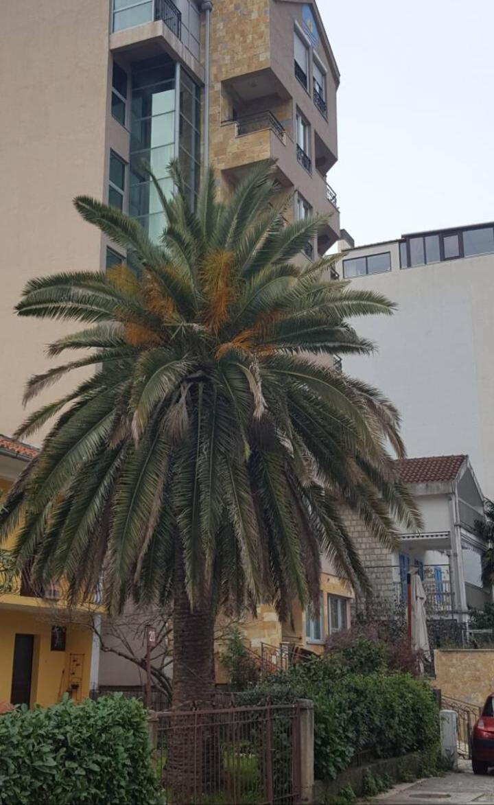 Image 5 of Apartman Centar Lux